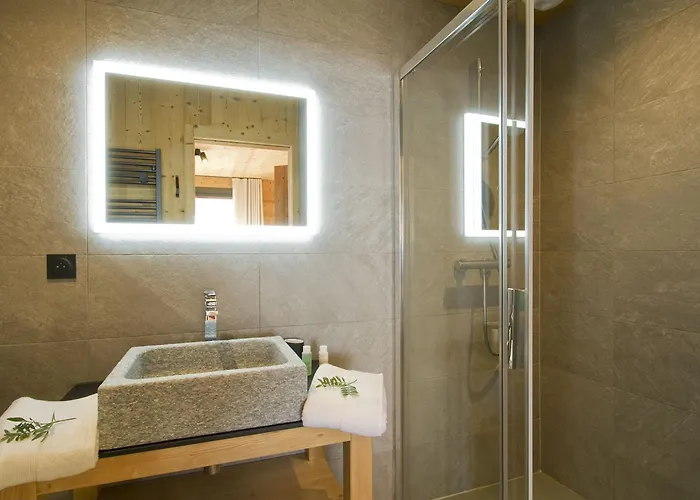 Chalet Odalys L'ours Brun *