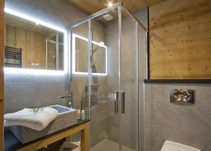 Odalys L'ours Brun Les Deux Alpes